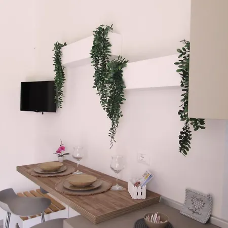 Broom House San Foca