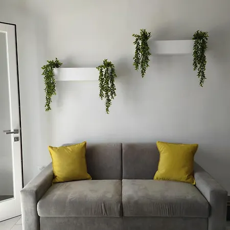 Guest house Broom House